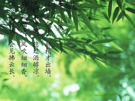 有關竹子的詩詞|竹解心虛即我師：十二首詠竹的著名詩詞，展現詩人們的翠竹情懷。